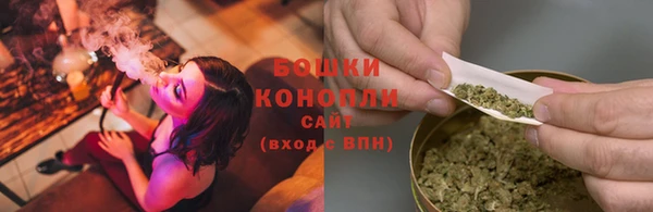 гидра Осинники