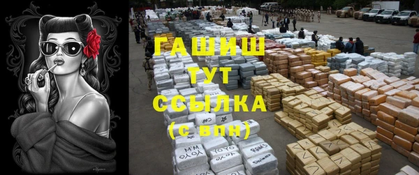 гидра Осинники