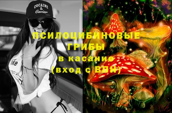 гидра Осинники
