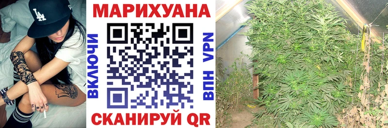 Купить  Шахты  Конопля White Widow 